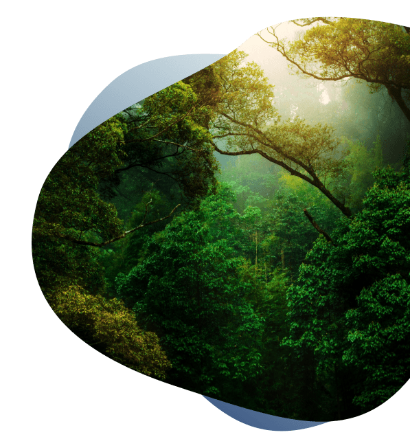 ESG Environment